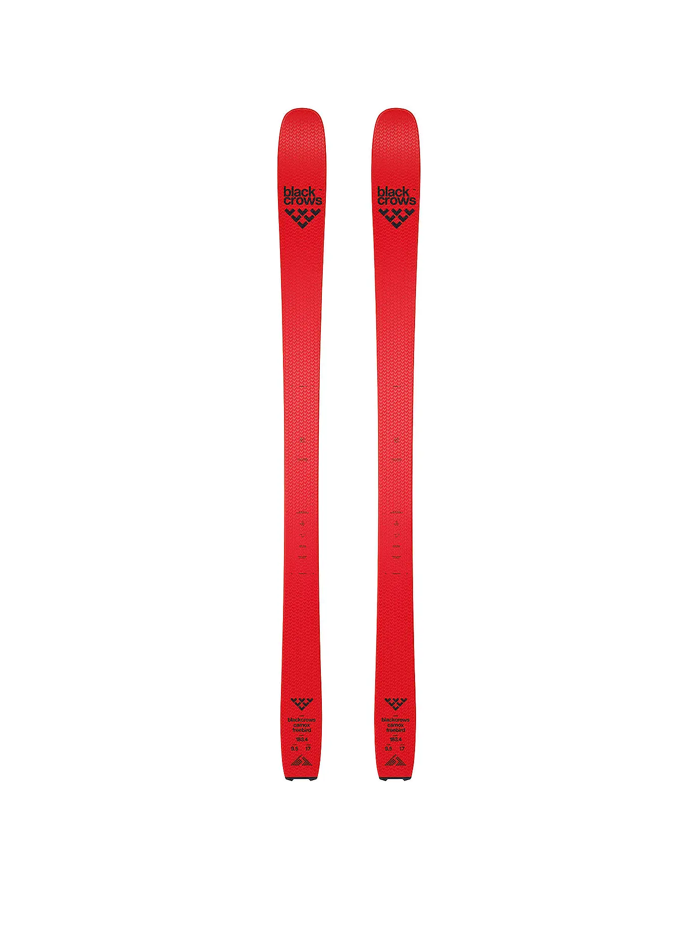 BLACK CROWS | Tourenski Camox Freebird 95 | 